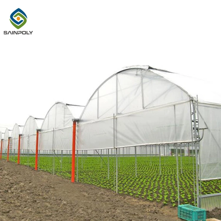 Sainpoly multi-span plastic shed film greenhouse structure with irrigation&hydroponics eqiupment