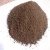 Import Seaweed slow release sargassum seaweed extract organic fertilizer kelp powder from China
