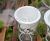 Import Self Watering Planters White Plastic Flower Pots for Indoor Plant from China