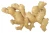 Import Shandong  fresh ginger for export from China