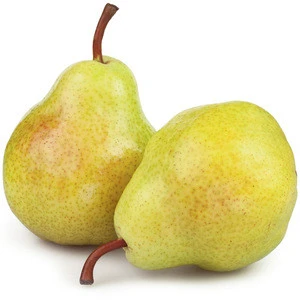 Shandong Green Fresh Fruit Pears Price