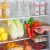 Import Simple Houseware Freezer Storage Organizer Storage Rack with lid from China
