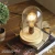 Import Simple Style Vintage Round Wood Base Metal Lamp Holder Table Lamp from China