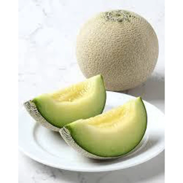 Smooth Texture Japanese Green Fruit Sweet Fresh Melon With In-House Hydroponics