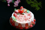 Snack chips dry fruit  freeze dried fruits freeze drying strawberry