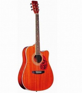 SNAG017 Takamine Global Acoustic Guitar 41&quot;