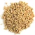 Import Soft Wheat Grain (Sortex & Machine Clean) from India