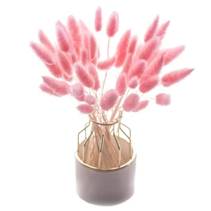 summer flora Nature flower touch real artificial flower for home decoration dried flower lagurus
