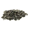 Quality Raw Natural Colored Sunflower Seeds in Wholesale Price