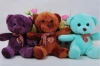 Teddy Bear Plush Toy / Animal Soft Stuffed Toy / EN71 toy factory