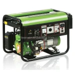 Teenwin Biogas generator