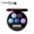 Import The best colorful colorful eyeshadow palette from China