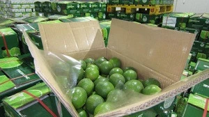 The Fresh Lime with BEST PRICE in VietNam