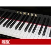 Top music instrument brands Yamaha good Timbre piano acoustic