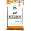 Top Quality Potassium nitrate NOP China Origin Fertilizer