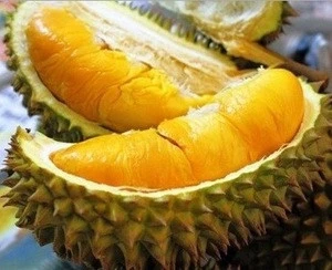 Top Quality Quality Fresh Durian Fruit for Importers