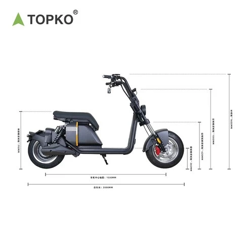 Topko Harleyscooter Gas-filled rear shock absorber with reverse gear function hydraulic disc brakes Harleyment Scooter