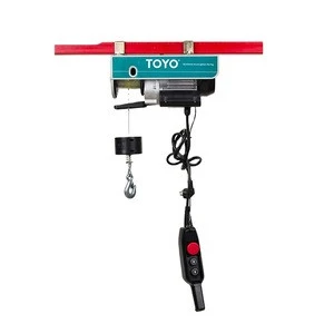 Toyo Crane Wireless Remote Control 50Kg 100Kg 250Kg 300Kg 500Kg 1000Kg Small Lift Mini Electric Chain Hoist