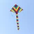 Import Unionpromo customized nylon huge rainbow kite for kids from China