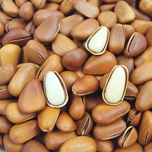 Unique tasty  nutritious Chinese Pine Nuts / Kernels for cosmetic and food