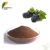 Import Usp pharmacopoeia fermented procyanidin flour powder grape seed extract from China
