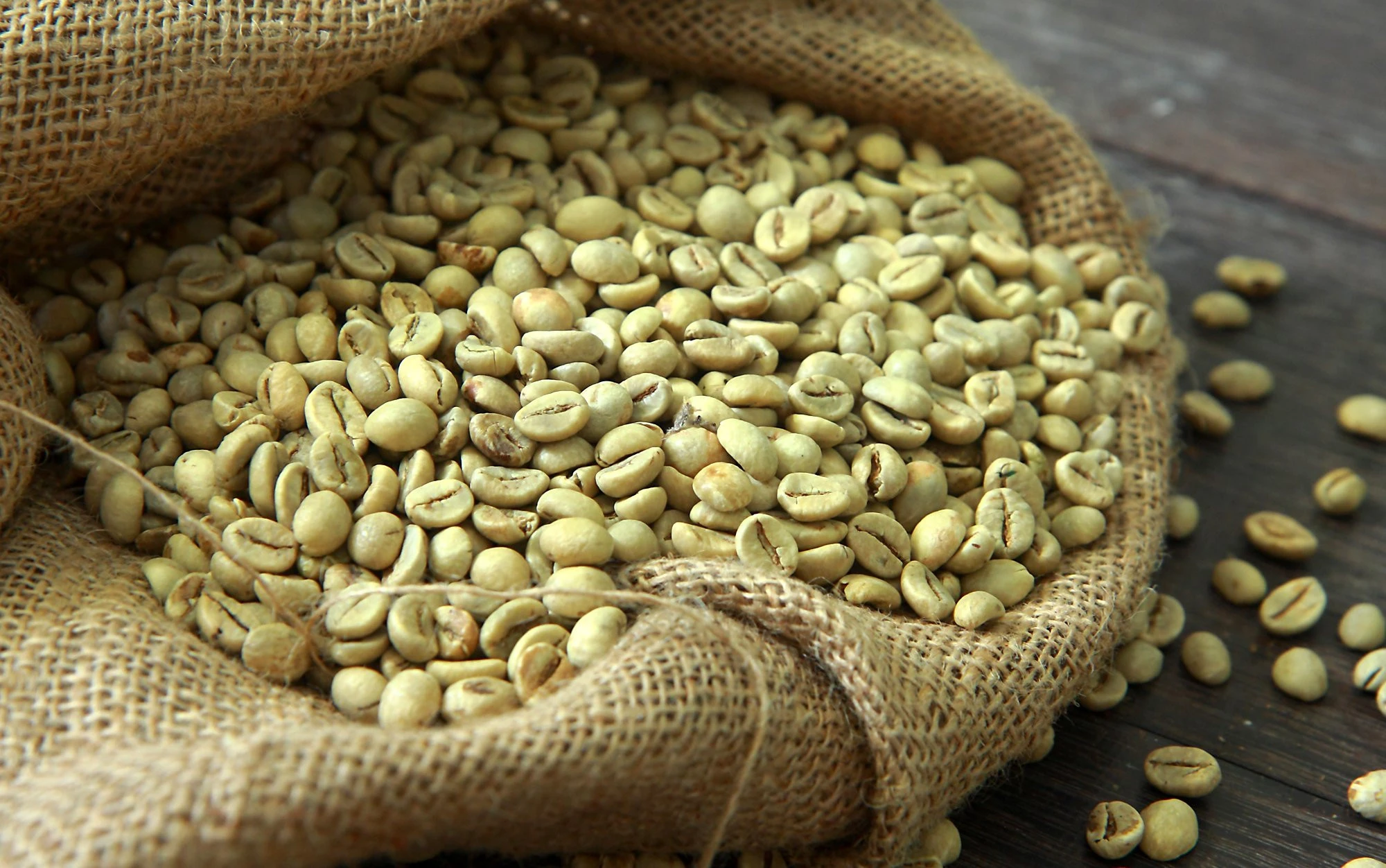Vietnamese organic unroasted arabica coffee beans direct distributor with competitive price and best flavour