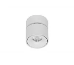 Wall Washer Hotel Adjustable Surface Mounted Trimless 12W 10W COB Led Downlight