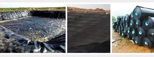 Waterproofing Geomembrane Liner Sealant smooth