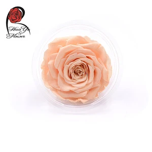 wedding decoration flowers real preserved roses big size