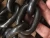 Import Welded black color 10mm g80 alloy steel lifting chain from China