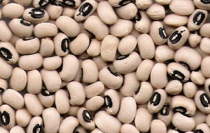 White Cowpea/Black Eye Bean (Vigna Beans)