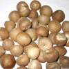 Whole Betel Nut (Areca nut/ Supari). we are the biggest supplier in THAILAND