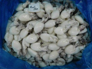 Whole Cleaned Frozen Cuttlefish