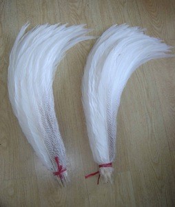 Wholesale Cheap Decorative White Silver Pheasant Feather