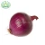 Wholesale Fresh Chinese Onion With Best Price