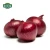 Wholesale Fresh Onion Red Onion Export Price