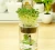 Import wholesale Gardening potted indoor desktop micro landscape ecological bottle creative glass bottle gift pot customization from China