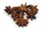 Import Wholesale High Quality Spices Whole Dried Star Anise Form Vietnam from China