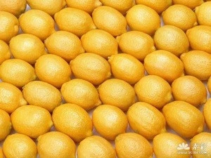 Wholesale light yellow sweet Egyptian lemon best fruit
