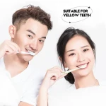 Wholesale Mint Whitening Toothpaste Teeth Cleaning Remove Plaque Stain Freshen Breath Toothpaste Oral Hygiene Care