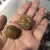 Import Wholesale Natural ocean jasper ball/sphere for decoration or gift from China
