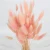 Import Wholesale Soft Real Preserved Flowers Dried  Lagurus Eternal Forever everlasting from China
