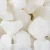 Import YUFA WFA 325 mesh Factory Wholesale Price WA White Fused Alumina Powder for Refractory from China
