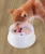 Import Automatic drinking bowl for dogs non-wet mouth cat water basin pet splash-proof cat bowl from China