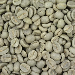 Robusta Coffee Bean