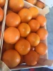 Fresh  Navel Oranges