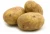 Import Potato from Germany