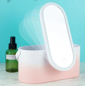 Portable Travel Mini Makeup Organizer Storage Box with LED Mirror Makeup Storage Case