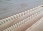 High Quality Plywood 1220*2440mm