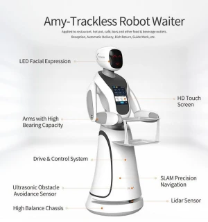 Artificial Intelligent Service Robot